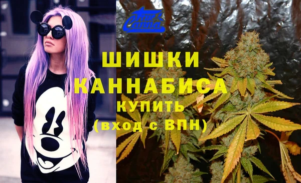 марки lsd Пересвет